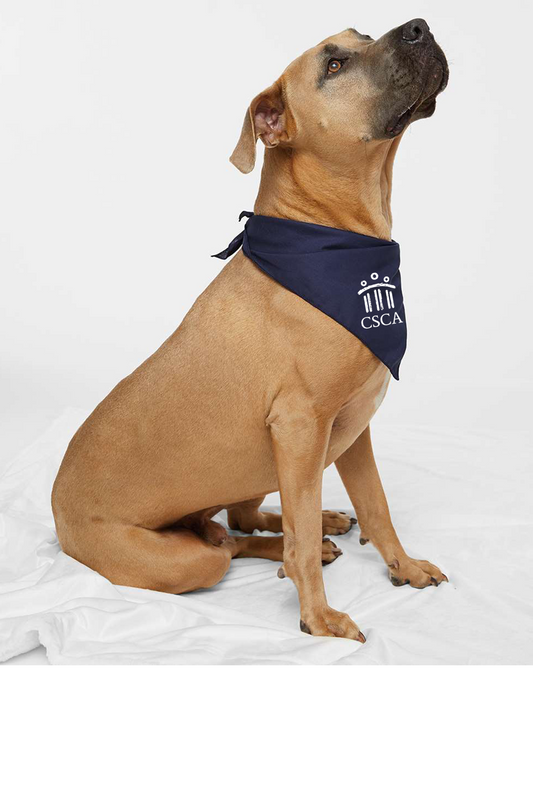 Dog Bandana